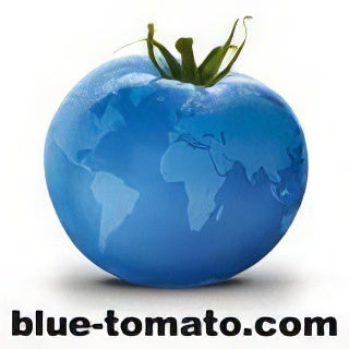 Blue Tomato