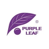 Purple Leaf
