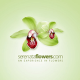 Serenata Flowers